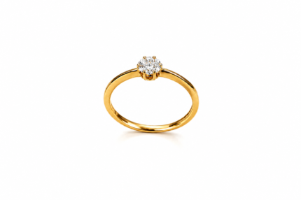 Ring XIII